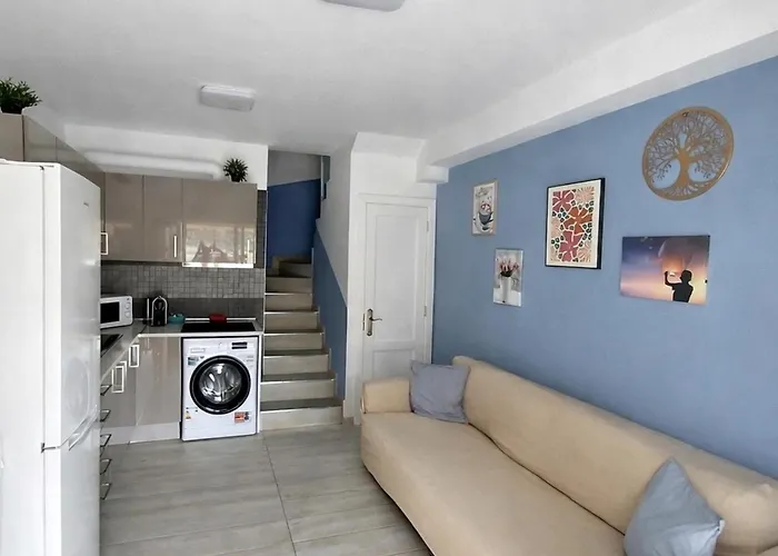 En Campo Internacional